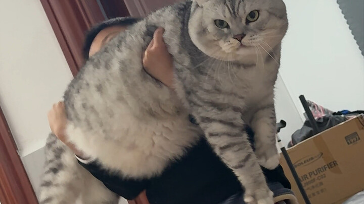 Dazhuang: Sudah terbang!