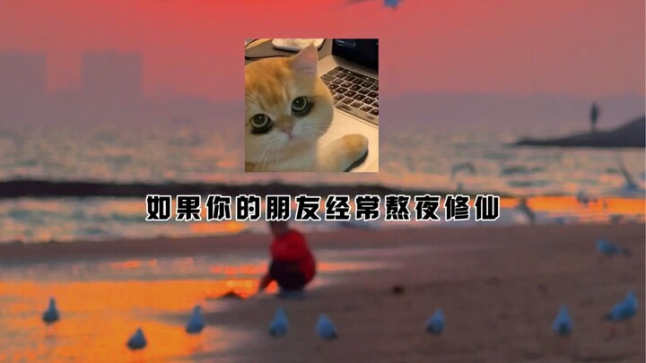 “จงรักษาเพื่อนสนิทที่ชอบนอนดึกไว้ให้ดี”