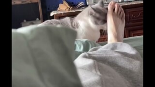 白袜另有其人好吧，我要碎了！！！