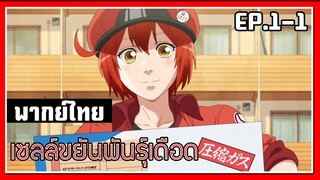 เม็ดเลือดแดง l Cells at Work! EP.1-1 l พากย์ไทย