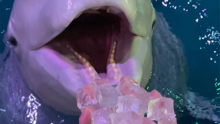 Cool down a bit 🙃