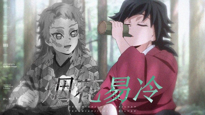 [Kimetsu no Yaiba/Shinobu x Giyu] “Aku mendengar bahwa kau selalu sendirian...”