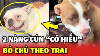 2 Nàng cún "CÓ HIẾU" với TRAI, bỏ chủ theo trai đẹp 😂  | Yêu Lu