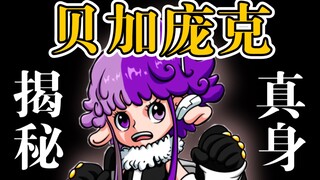 【海贼1062】他说“不会死”！贝加庞克是储存知识的头脑！？