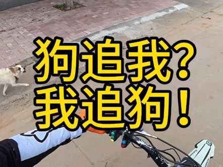 Anjing mengejar saya? Kalau begitu, biar saya tunjukkan akibatnya!