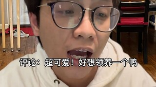 互联网迷惑行为 (白眼) (人家超凶的)