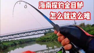 Why is it so difficult to fish for golden perch in Hainan?