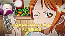 Nami si kucing pencuri yang sangat cantik ✨ |「AMV」