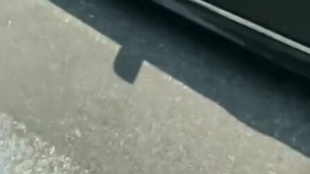 This isn’t my steamed bun—mine aren’t this flat!