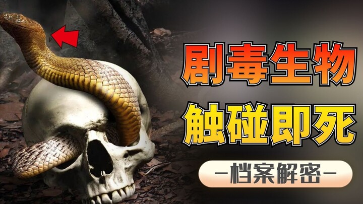 หกลิงก์อันตรายที่สุด: หน้าตาสวยสดงดงาม แต่แค่สัมผัสก็ตาย แล้วใครกันแน่คือ “ราชาแห่งพิษ”?