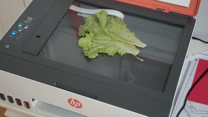 Is this print quality okay???