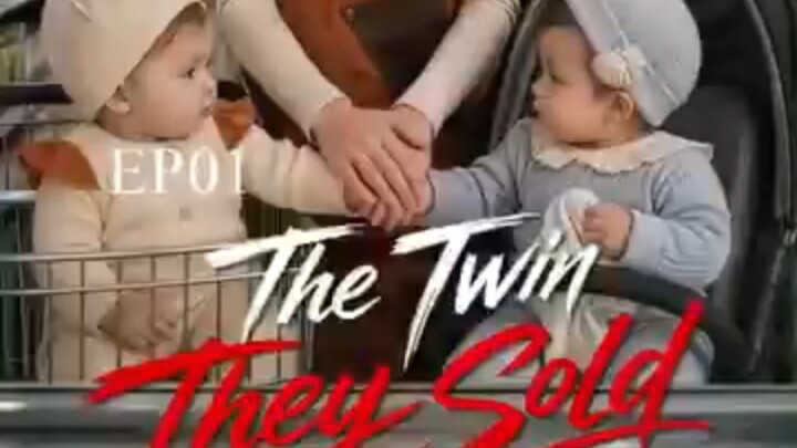 The Twin They Sold