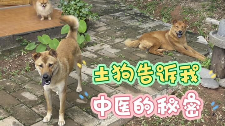 Hal-hal dari leluhur pasti tak ada yang buruk