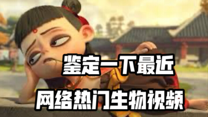 【用狐主任打开哪吒】鉴定一下网络热门生物视频