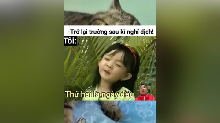 memegaycuoi memes meme memehaihuoc superidol memebuoncuoi memehai