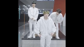 不好意思，TREASURE是走极端的组合吗