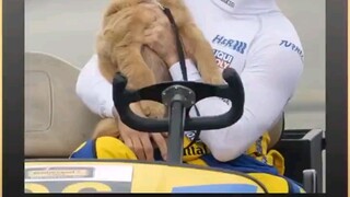 狗狗用一生守护主人一家    "狗狗"陪伴是最美的亲情  ，