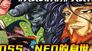 BOSS, identitas NEO