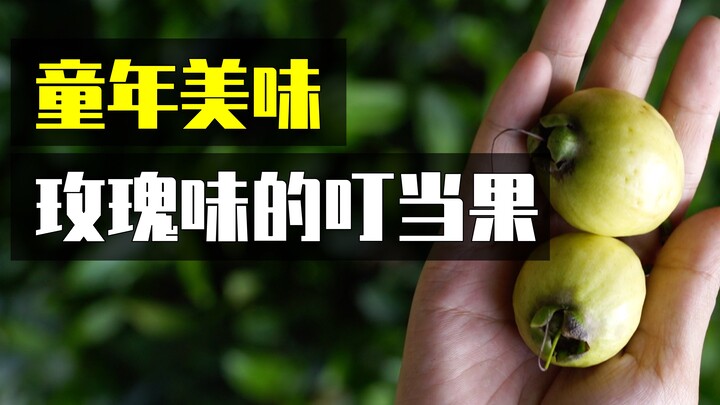 ทั้งที่เป็นผลไม้ แต่กลับมีกลิ่นกุหลาบหอมเข้มข้น!