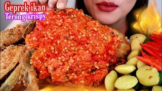 ASMR GEPREK IKAN + TERONG KRISPY + LALAPAN JENGKOL MUDA |  ASMR MUKBANG INDONESIA