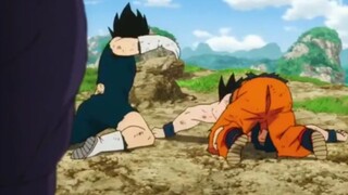 Vegeta: Anh ấy trông rất đẹp trai và sang trọng khi bóp nát đôi bông tai của mình, giờ anh ấy đang đ