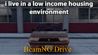 i live in a low income housing environment