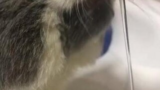 กินอะไรอยู่คะ