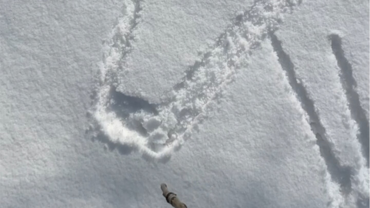 Let me do it for you～ (Winter Limited Edition)