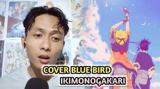 Cover Blue Bird - Ikimonogakari