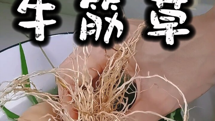 Bullrush grass grows by the roadside, clad in a resilient green coat. Let the wind and rain rage—not