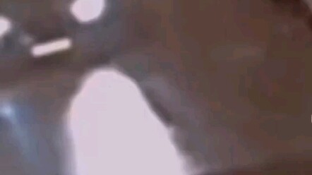 接下来会发生什么事捏