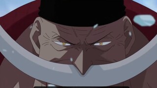 The strongest pirate group in history? A massive collection of T0-level combat power! A look at the 