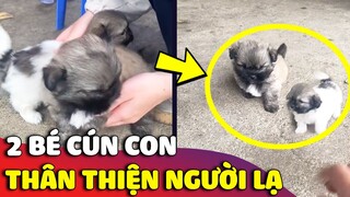 Cưng xỉu trước độ THÂN THIỆN của 2 bé cún nhỏ khiến ai cũng phải XUÝT XOA 😂| Gâu Đần