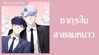 ซากุระในสายลมหนาว - comico [ฝึกพากย์] [Yaoi] [วาย] l MiganStudio