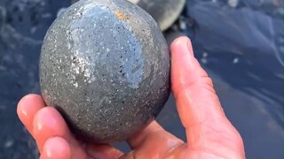 “化石猎人”小哥找到一个圆滚滚的石头，里面藏着800万年前的秘密