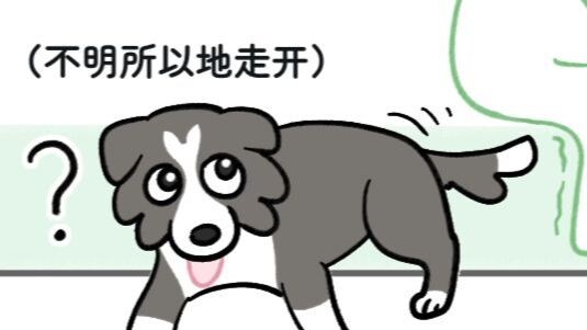 What do I play with Mao Dou every day?