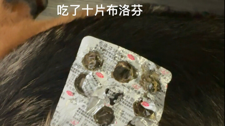 รอให้เจ้าฟื้นขึ้นมาก็เตรียมตายได้เลย