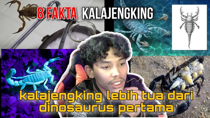 8 fakta kalajengking