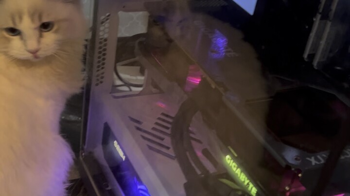 Diablo IV is seriously insane—my hard drive’s gone, my RAM’s maxed out, I can barely run LoL and it 