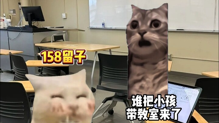 เมื่อหลิวจื่อที่สูง 158 เซนติเมตรมาเรียนต่อที่เนเธอร์แลนด์