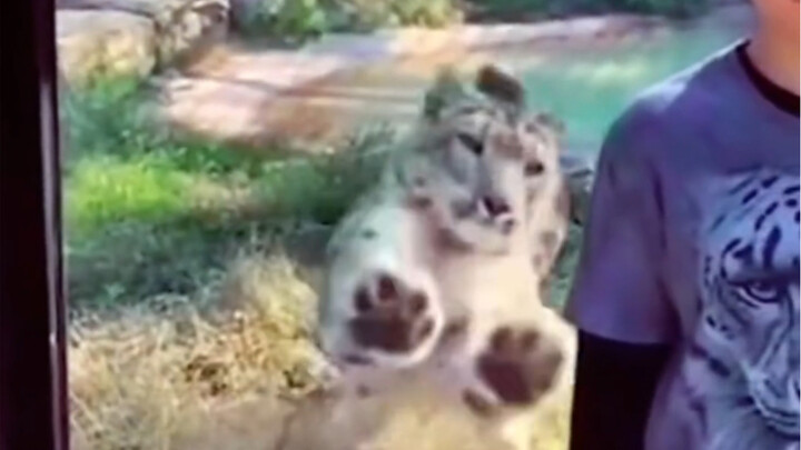 You should never turn your back on a ferocious beast.