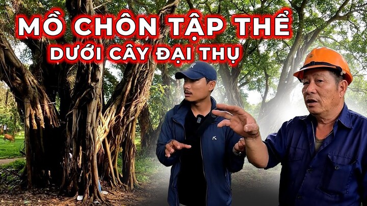 Chấn Động - Mồ Chôn tập thể được đánh dấu bởi 6 cây Đại Thụ gần trăm năm tuổi