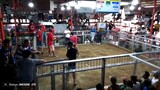 Feb 11 2hits Champion sa Ibaan Malainin Cockpit Arena.