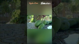 Suka sa Tarlac, gawa sa mangga!  #shorts | Biyahe ni Drew