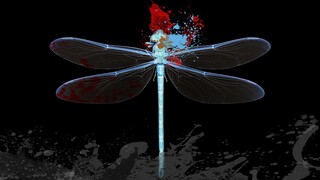 咒术回战五夏同人曲《死于盛夏》