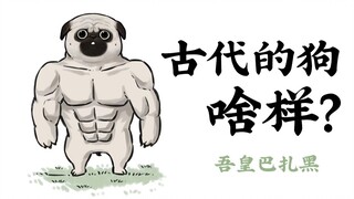 狗随时代变……【吾皇巴扎黑】