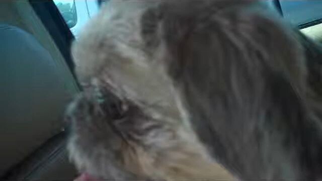 James Minisode - Trailer