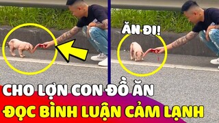 Thấy CHÚ LỢN CON đi lạc bên đường, thanh niên tốt bụng đến CHO ĐỒ ĂN và cái kết 'CẢM LẠNH' 😅 Gâu Đần