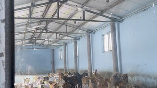 【潘宏爱玩狗】更新啦，赶紧来围观吧！