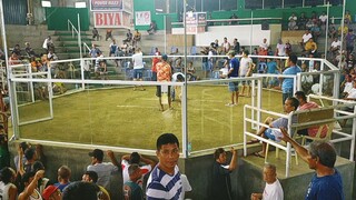 sayang